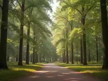 Ein sonnendurchfluteter Waldweg in einem Park, der für einen gesunden Lebensstil und Prävention steht. - Foto: über boerse-global.de