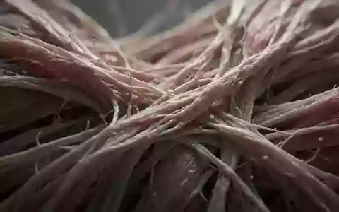Mikroskopische Aufnahme von Muskelgewebestrukturen unter neutraler Beleuchtung zur Veranschaulichung biologischer Prozesse. - Foto: über boerse-global.de