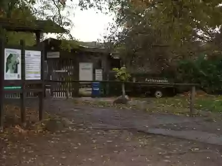 Nach der Wolfsattacke in einem Wildpark in Brandenburg prüfen Behörden die Anlagen. - Foto: Carsten Koall/dpa