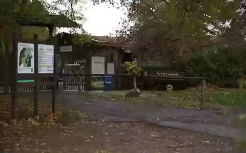 Nach der Wolfsattacke in einem Wildpark in Brandenburg prüfen Behörden die Anlagen.  - Foto: Carsten Koall/dpa