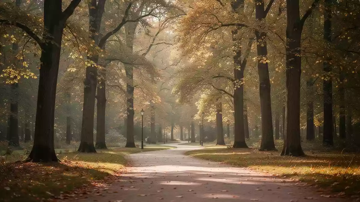 Ein ruhiger, sonnendurchfluteter Parkweg im Herbst, der durch einen herbstlichen Wald führt. Illustration mit AI erstellt.