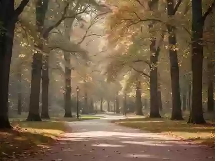 Ein ruhiger, sonnendurchfluteter Parkweg im Herbst, der durch einen herbstlichen Wald führt. - Foto: über boerse-global.de