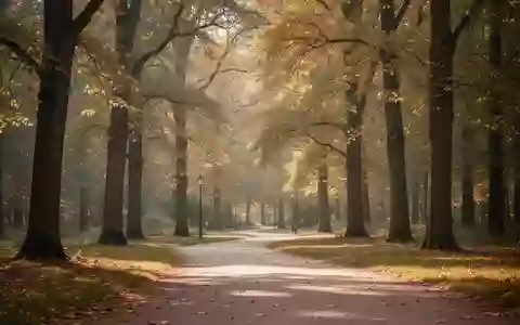 Ein ruhiger, sonnendurchfluteter Parkweg im Herbst, der durch einen herbstlichen Wald führt. - Foto: über boerse-global.de