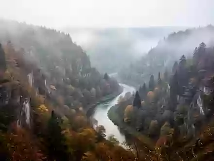 Neblige Hügellandschaft und ein bewaldetes Flusstal in Rheinland-Pfalz bei natürlichem Morgenlicht. - Foto: über boerse-global.de