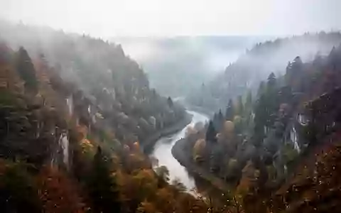 Neblige Hügellandschaft und ein bewaldetes Flusstal in Rheinland-Pfalz bei natürlichem Morgenlicht. - Foto: über boerse-global.de