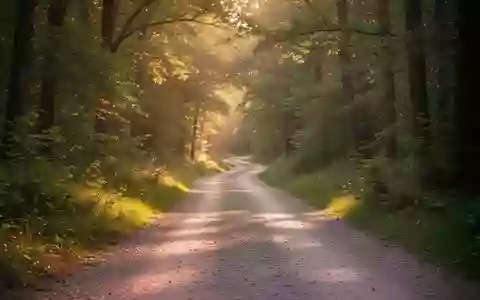Ein leerer Waldweg im Sonnenlicht, der zu Bewegung im Freien anregt. - Foto: über boerse-global.de