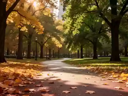 Ein sonnendurchfluteter Weg durch einen Stadtpark mit herbstlichem Laub und Bäumen im Hintergrund. - Foto: über boerse-global.de