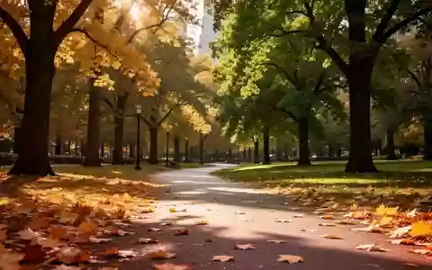 Ein sonnendurchfluteter Weg durch einen Stadtpark mit herbstlichem Laub und Bäumen im Hintergrund. - Foto: über boerse-global.de