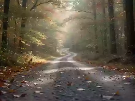 Ein gewundener Kiesweg, der in einem herbstlichen Wald verschwindet, symbolisiert Bewegung und neurologische Gesundheit. - Foto: über boerse-global.de
