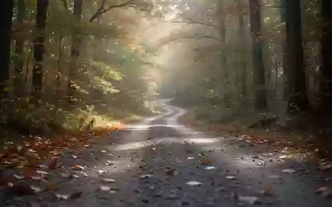 Ein gewundener Kiesweg, der in einem herbstlichen Wald verschwindet, symbolisiert Bewegung und neurologische Gesundheit. - Foto: über boerse-global.de