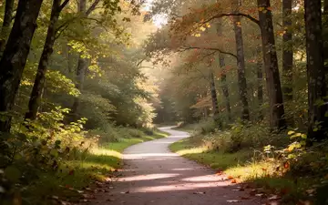 Ein friedlicher Spazierweg in einem herbstlichen Waldgebiet mit einfallendem Sonnenlicht. - Foto: über boerse-global.de