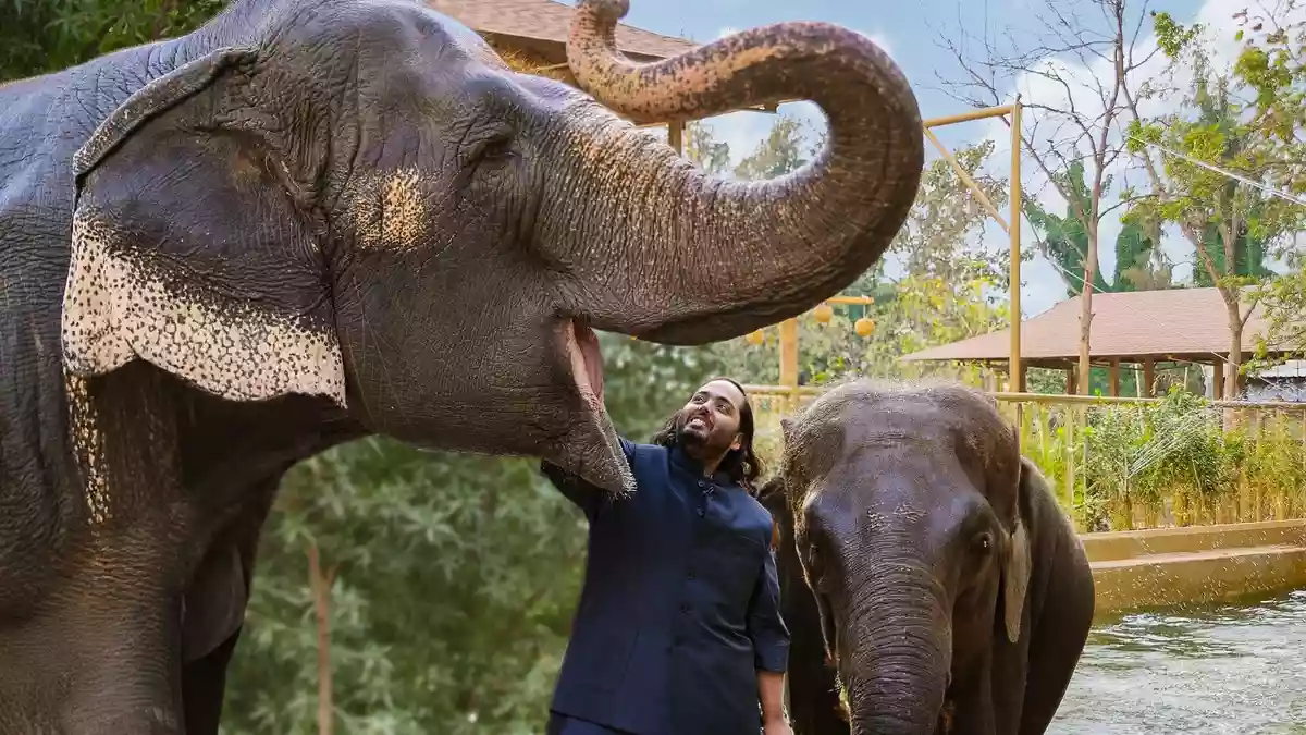 Ein zweites Leben für die Elefanten / WELT TV zeigt am 1. November "Vantara -Sein Herz für Tiere"- eine Dokumentation über gerettete Wildtiere und die Menschen, die ihnen eine neue Zukunft schenken - Bild: presseportal.de