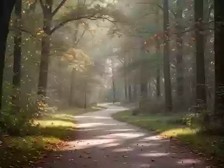 Ein sonniger Waldweg in einem Park, der zu regelmäßiger körperlicher Bewegung einlädt. - Foto: über boerse-global.de