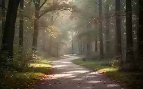 Ein sonniger Waldweg in einem Park, der zu regelmäßiger körperlicher Bewegung einlädt. - Foto: über boerse-global.de