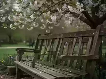 Symbolbild: Parkbank unter einem blühenden Baum - Foto: über boerse-global.de