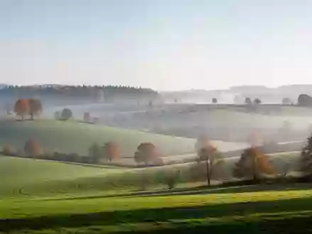 Hügelige Landschaft im oberfränkischen Umland bei sanftem Morgenlicht. - Foto: über boerse-global.de