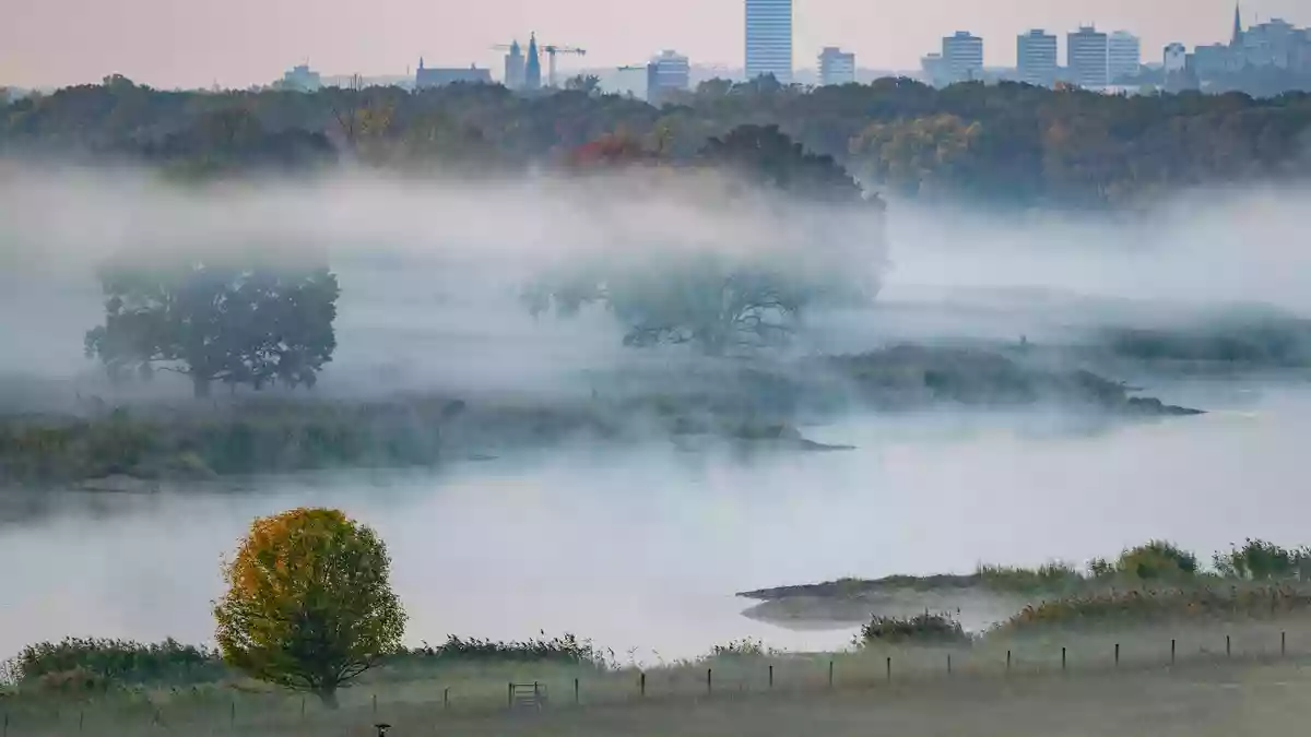 Der Nebel hält sich in den kommenden Tagen oft hartnäckig. (Symbolbild) - Bild: Patrick Pleul/dpa
