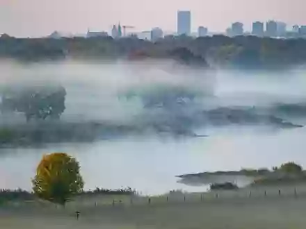 Der Nebel hält sich in den kommenden Tagen oft hartnäckig. (Symbolbild) - Foto: Patrick Pleul/dpa