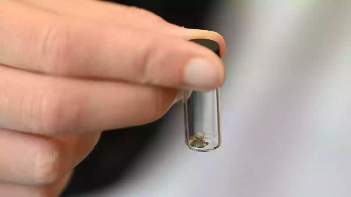 Von Behörden beschlagnahmte Süßigkeiten enthielten Tetrahydrocannabinol (THC), einen Cannabis-Wirkstoff mit berauschender Wirkung. (Symbolbild) - Bild: Michael Brandt/dpa