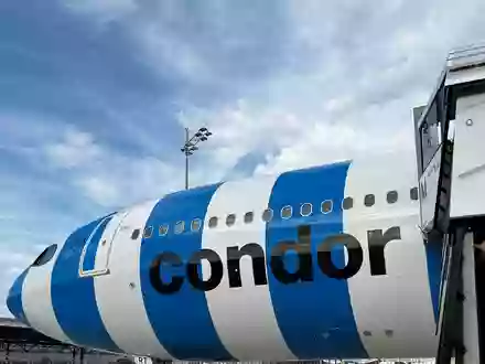 Condor hat einen Tariffrieden mit den Piloten bis zum Herbst 2029 geschlossen. (Archivbild) - Foto: Christian Kunz/dpa