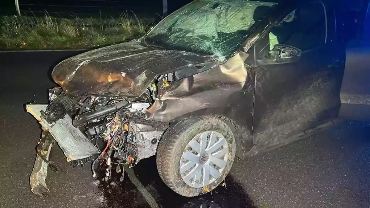 POL-MI: Wildunfall löst Totalschaden aus - Bild: presseportal.de