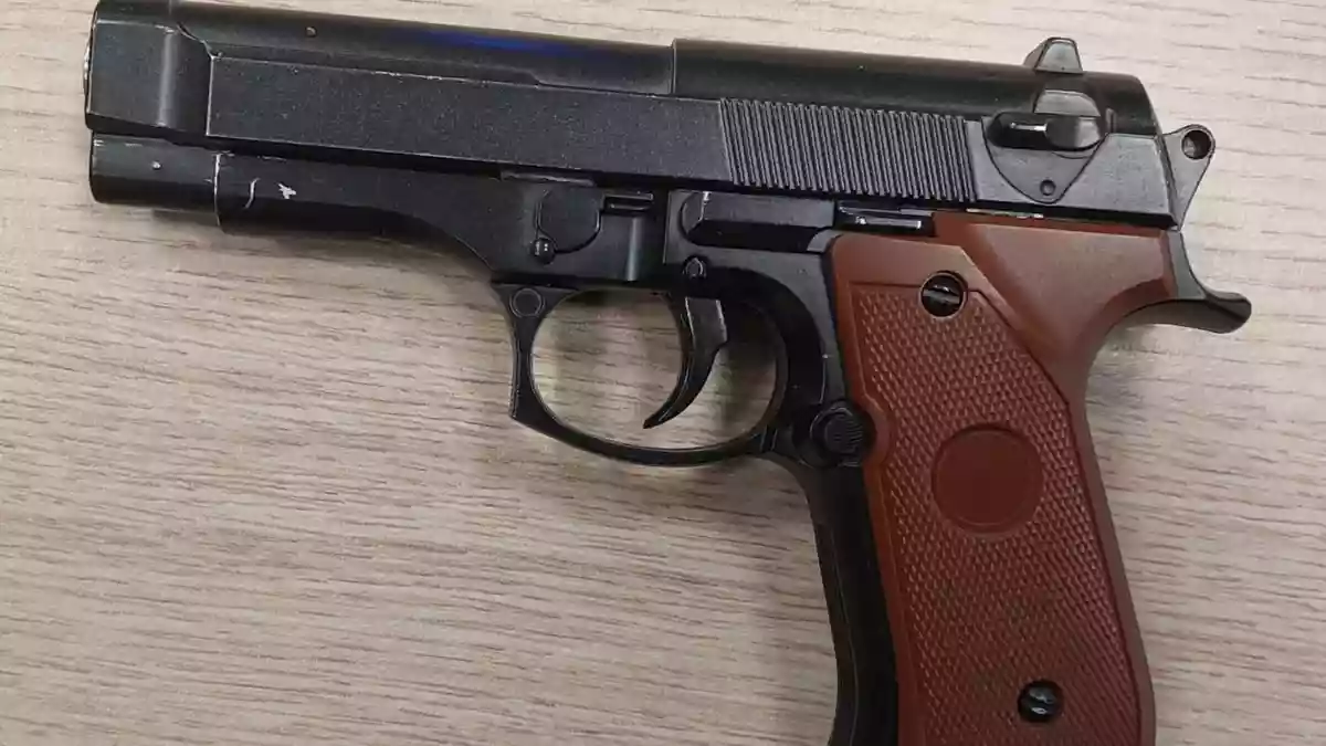 BPOLI DD: Bundespolizei stellt Messer und Softairwaffe im Dresdner Bahnhofsbereich sicher - Bild: presseportal.de