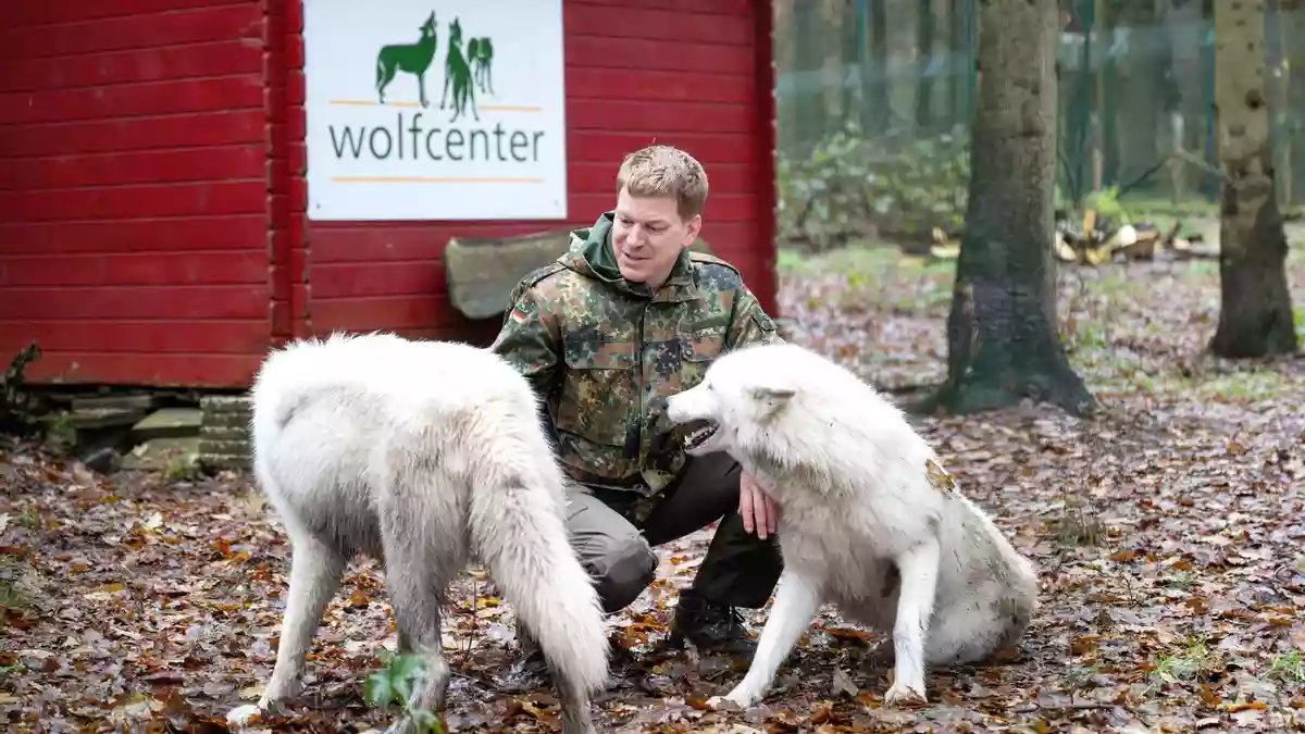 Der Betreiber des Wolfcenter Dörverden, Frank Faß, geht zu seinen Wölfen auch ins Gehege - für fremde Besucher ist das aber tabu. (Archivbild) - Bild: Sina Schuldt/dpa