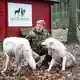 Der Betreiber des Wolfcenter Dörverden, Frank Faß, geht zu seinen Wölfen auch ins Gehege - für fremde Besucher ist das aber tabu. (Archivbild) - Bild: Sina Schuldt/dpa