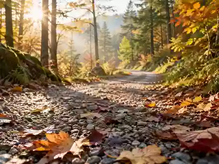 Ein von der Sonne beleuchteter Spazierweg in einem herbstlichen Wald. - Foto: über boerse-global.de