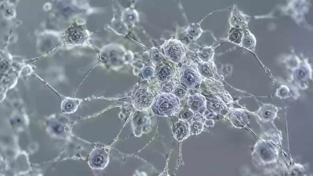 Mikroskopische Nahaufnahme von neuronalen Stammzellen in einer Laborkultur vor neutralem Hintergrund. Illustration mit AI erstellt.