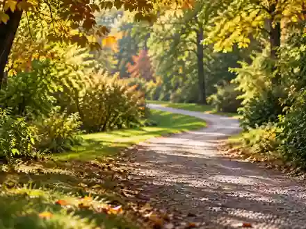Ein sonniger Pfad in einem grünen Park, der zu einem Spaziergang einlädt. - Foto: über boerse-global.de