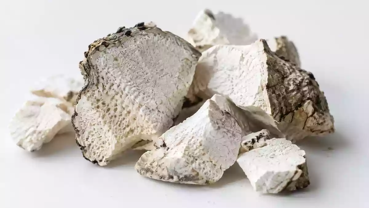 Nahaufnahme von getrockneten Poria cocos Pilzstücken auf einer sauberen Laboroberfläche. Illustration mit AI erstellt.