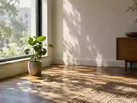 Ein sonnendurchfluteter, minimalistischer Raum mit einer kleinen Pflanze auf einem Holzboden, der Ruhe und Achtsamkeit ausstrahlt. - Foto: über boerse-global.de