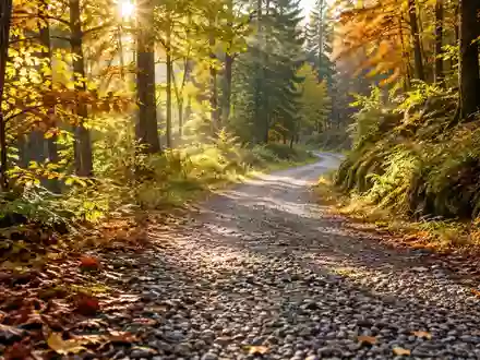 Ein gewundener Waldweg bei sonnigem Herbstwetter, der zu Bewegung und körperlicher Aktivität in der Natur einlädt. - Foto: über boerse-global.de