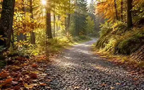 Ein gewundener Waldweg bei sonnigem Herbstwetter, der zu Bewegung und körperlicher Aktivität in der Natur einlädt. - Foto: über boerse-global.de
