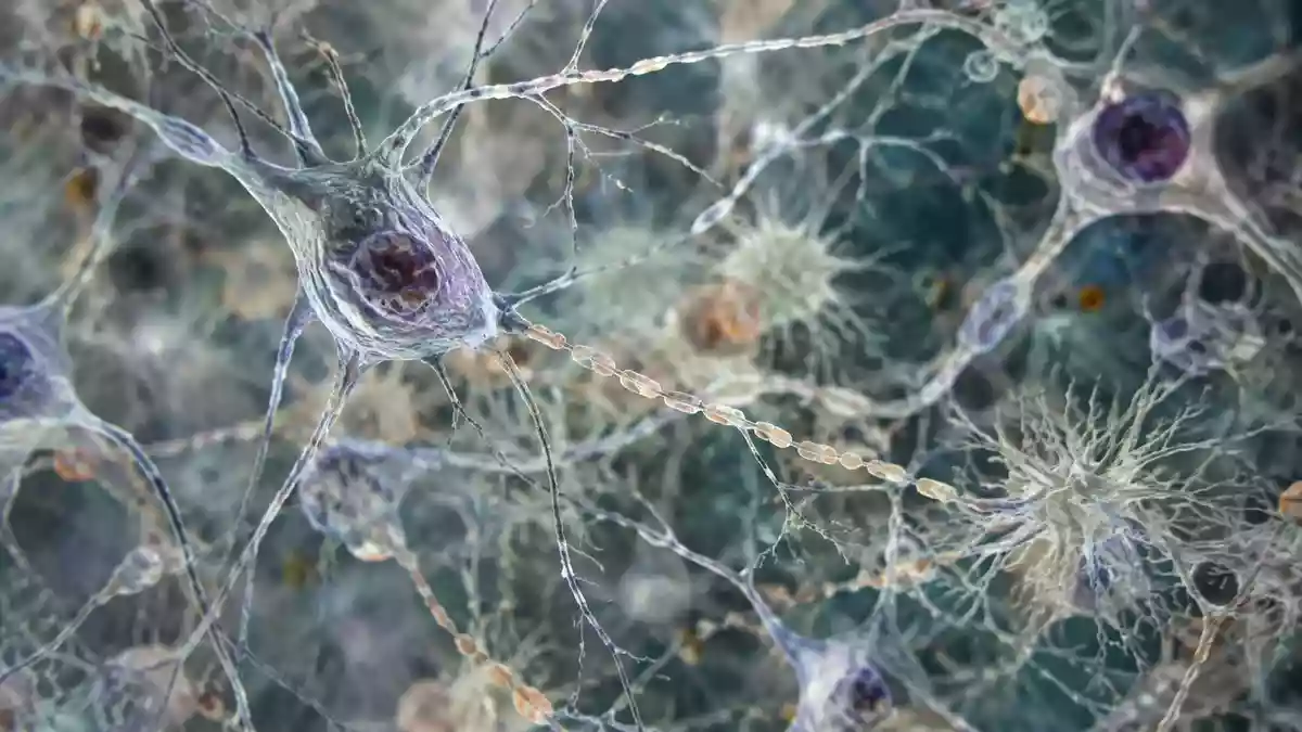 Mikroskopische Aufnahme komplexer biologischer Zellstrukturen und Signalwege in einem Gewebe. Illustration mit AI erstellt.
