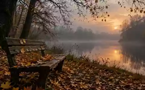 Ein nebliger Herbstpark mit gefallenen Blättern auf einer hölzernen Parkbank bei gedimmtem Tageslicht. - Foto: über boerse-global.de