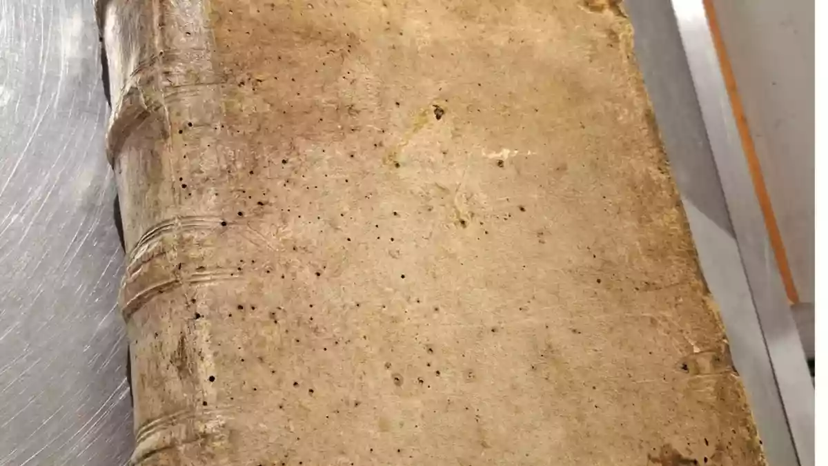 HZA-IZ: Zwischen Artenschutzverstoß und Kulturschatz/ Zoll am Hamburger Flughafen entdeckt zeremoniellen Umhang mit geschützter Tierart und kontrolliert historische Buchrarität - Bild: presseportal.de