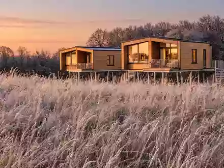 Strategiemeetings in der Natur: Ostsee Baumhaushotel erweitert Angebot für kleine Führungsteams an der Ostsee - Foto: presseportal.de