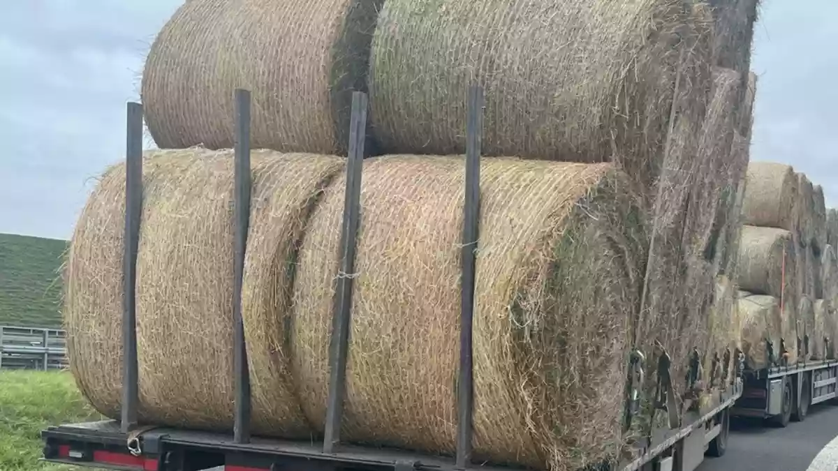 POL-DO: Schiefe Ladung auf der A44 - Polizei stoppt niederländischen Lkw - Bild: presseportal.de