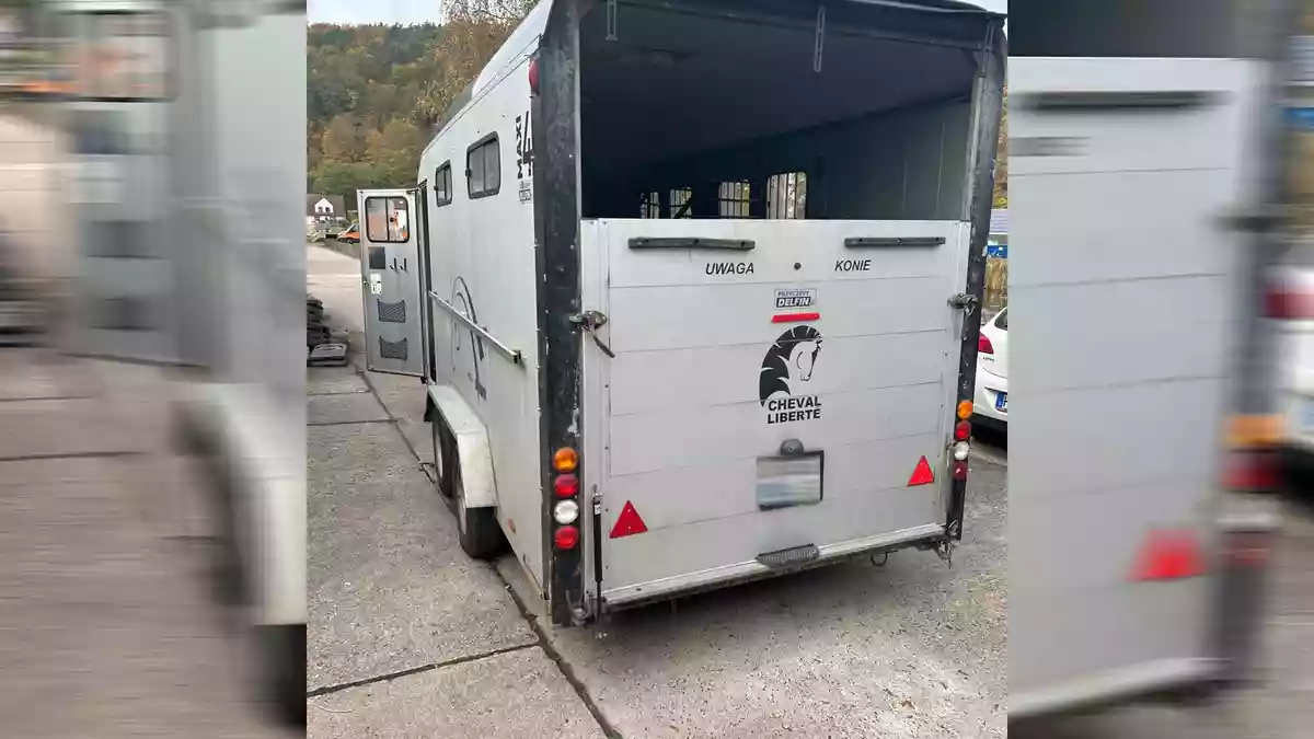 POL-OH: Polizei und Zoll kontrollieren 24 Stunden in Kirchheim - Sieben Tonnen Feuerwerkskörper unzureichend gesichert - Zwölf Hundewelpen entdeckt - Bild: presseportal.de