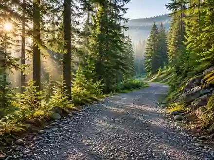 Ein von Sonnenlicht durchfluteter Waldweg aus Schotter und Erde, der durch einen herbstlichen Wald führt. - Foto: über boerse-global.de