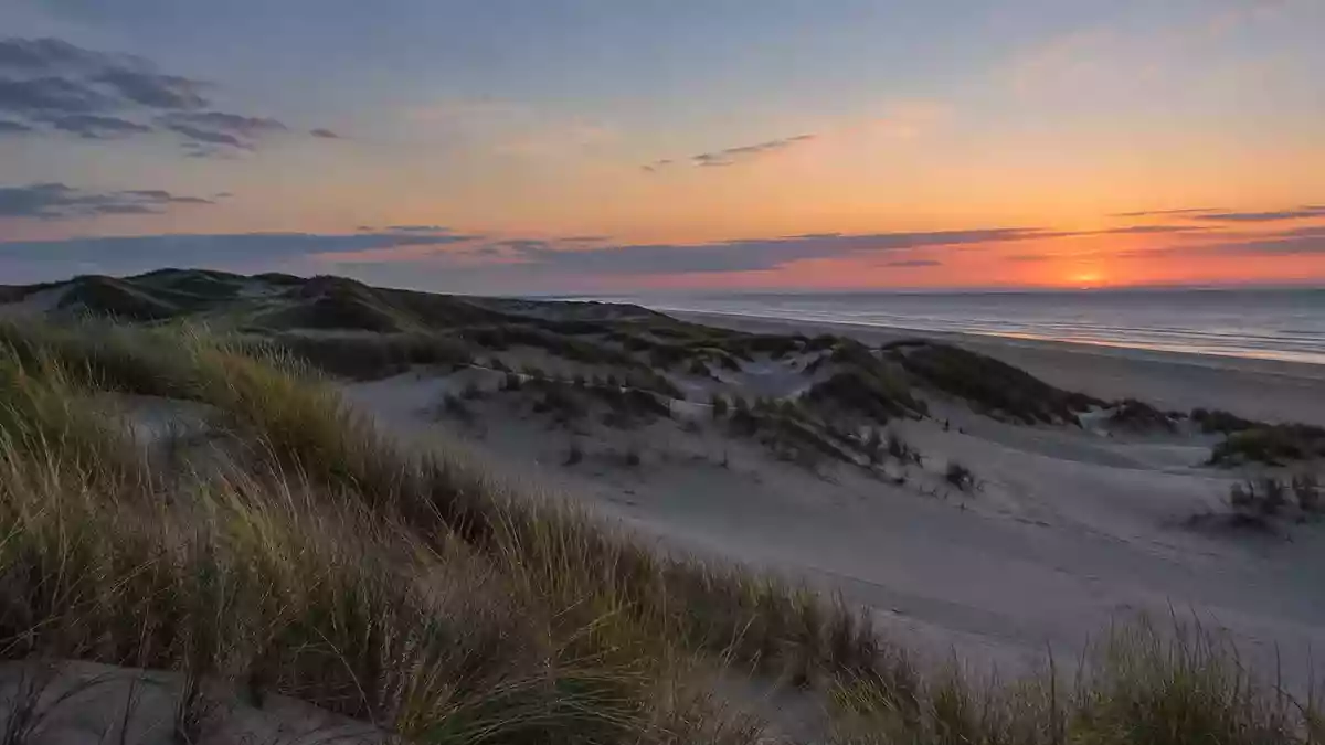 Eine weite Dünenlandschaft an der Nordseeküste bei Dämmerung, die Ruhe und Weite ausstrahlt. Illustration mit AI erstellt.