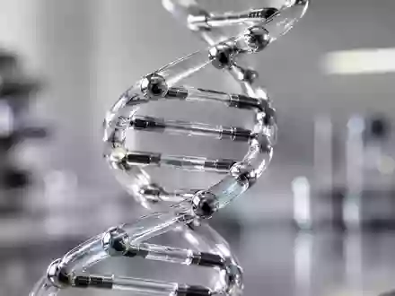 Ein gläsernes Modell einer DNA-Doppelhelix in einer sterilen Laborumgebung. - Foto: über boerse-global.de