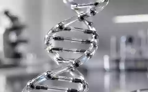 Ein gläsernes Modell einer DNA-Doppelhelix in einer sterilen Laborumgebung. - Foto: über boerse-global.de