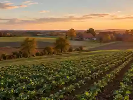 Weite Ackerlandschaft in Niedersachsen bei Sonnenuntergang mit landwirtschaftlichen Gebäuden im Hintergrund. - Foto: über boerse-global.de