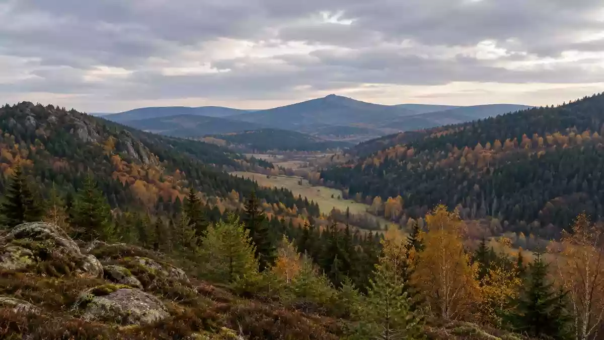 Eine ruhige Herbstlandschaft mit bewaldeten Hügeln im Fichtelgebirge als Symbol für regionale Sicherheit und Vorsorge. Illustration mit AI erstellt.