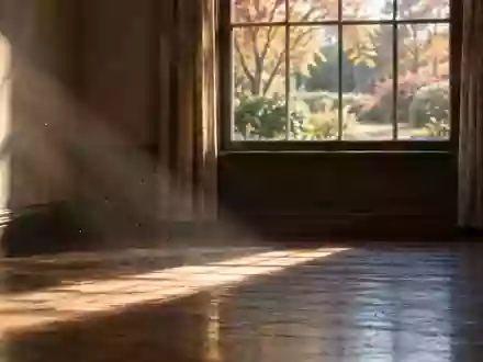 Ein von Sonnenlicht durchfluteter, leerer Raum in einem alten Haus mit Blick in einen herbstlichen Garten. - Foto: über boerse-global.de