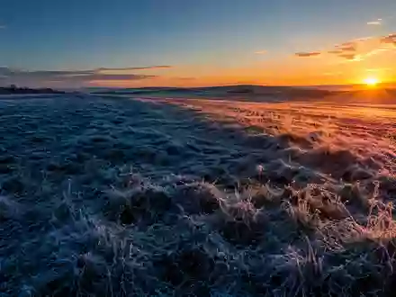 Eine frostbedeckte Landschaft bei Sonnenaufgang mit einem starken Kontrast zwischen kalten Schatten und warmem Licht. - Foto: über boerse-global.de
