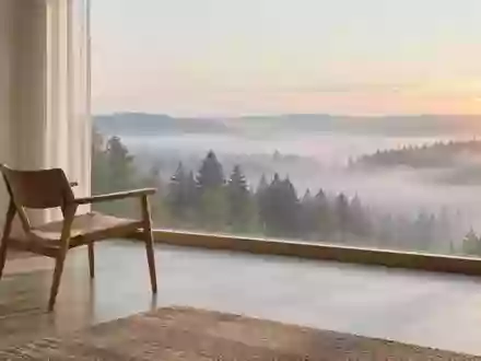 Ein ruhiger, minimalistischer Raum mit Blick auf einen nebligen Wald bei Tagesanbruch, der eine Atmosphäre der Entspannung vermittelt. - Foto: über boerse-global.de